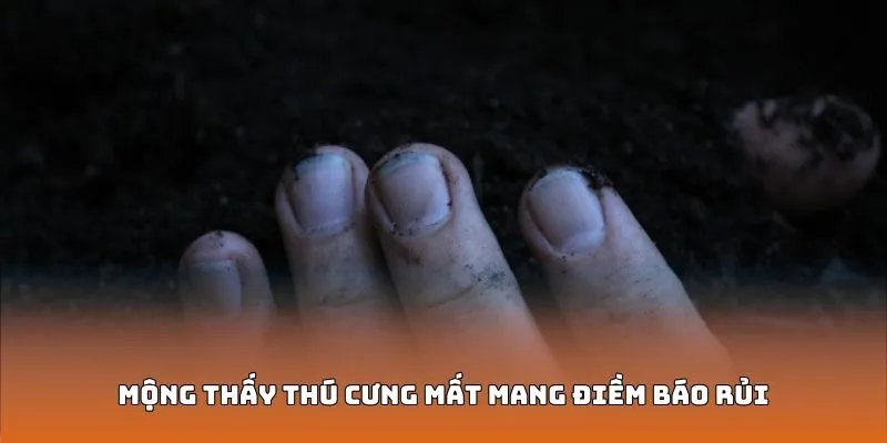 Mộng thấy thú cưng mất mang điềm báo rủi