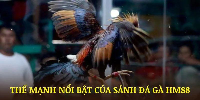 Các thế mạnh nổi bật của sảnh đá gà HM88 được cộng đồng đánh giá cao