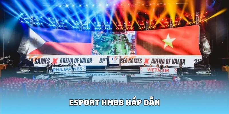 Sân chơi Esports hấp dẫn