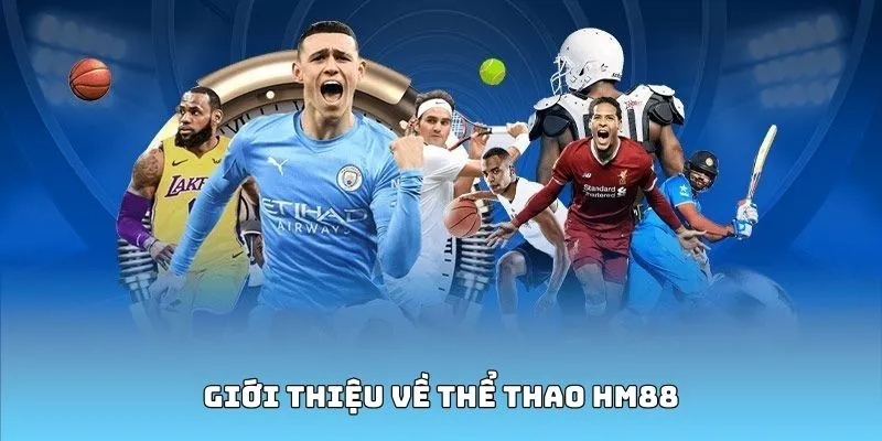 Đôi nét về chuyên mục cá cược thể thao HM88