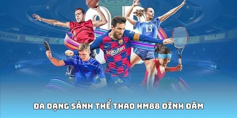 Điểm danh các sảnh thể thao nổi tiếng tại HM88